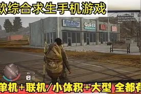 9款综合求生手机游戏，小体积+大型手游全都有，满足不同玩家需求视频封面