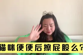 猫咪上完厕所需要擦屁屁么？铲屎官是怎么想的呢？用擦么视频封面