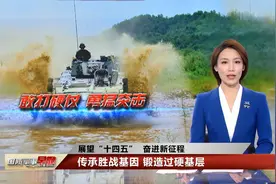 “虎头连”：合成转型 在实战中加钢淬火视频封面