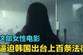 因一部太过黑暗的女性电影，韩国出台了上百条保护女性的法律视频封面