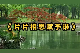 《片片相思赋予谁》古筝笛子，好听纯音乐加长经典版，旋律优美视频封面