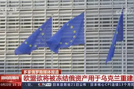 多家俄罗斯媒体报道 欧盟欲将被冻结俄资产用于乌克兰重建视频封面