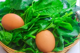 鸡蛋和菠菜搭配不用炒，厨师长简单凉拌，菠菜青翠鸡蛋鲜嫩