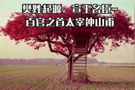 樊姓起源。宣王名臣-百官之首太宰仲山甫视频封面