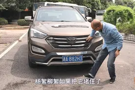 杨絮柳絮满天飞，车子很受伤，试试这个办法，轻松解决大问题视频封面