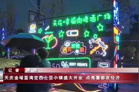 天庆金域蓝湾定西土豆小镇盛大开业 点亮薯都夜经济视频封面