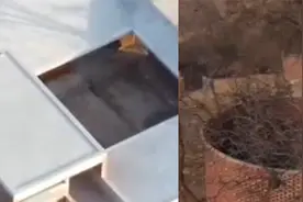 东方卫视《梦想改造家》花132万，改老屋成红砖房，现场实地探访视频封面