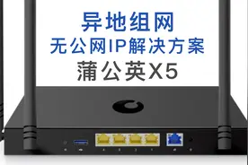 无公网IP异地组网，更可靠的远程访问方案：蒲公英X5路由器