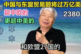 中国与东盟贸易额将过万亿美元，超中欧的，更超中美的视频封面