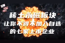 机会难得，稀土永磁板块让你不得不去加入自选的7家上市企业视频封面