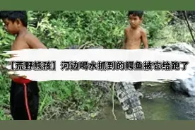 【荒野熊孩】河边喝水抓到的鳄鱼被它给跑了视频封面