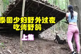 泰国少妇独自在野外过夜，制作陷阱抓野鸽子，野外烤乳鸽味道真赞视频封面