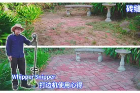清除砖缝杂草 |  Line Trimmer / 打边机的使用心得视频封面