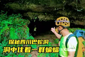探秘四川巴蛇洞，传说是山海经里巴蛇的巢穴，里面发现一洞蝙蝠视频封面
