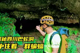 探秘四川巴蛇洞，传说是山海经里巴蛇的巢穴，里面发现一洞蝙蝠视频封面