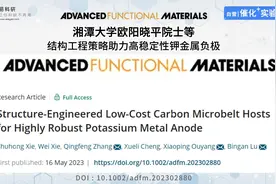 Adv. Funct. Mater. | 欧阳晓平院士等：高稳定性钾金属负极视频封面