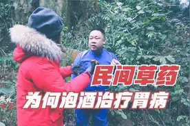 治胃病还能喝酒？2种民间草药如何泡酒，为啥必须用这种酒
