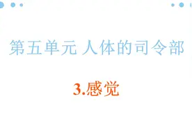 小学科学苏教2001课标版五年级下册五单元 感觉_视频课件视频封面