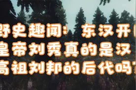 野史趣闻：东汉开国皇帝刘秀真的是汉高祖刘邦的后代吗？视频封面