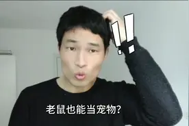 把老鼠当宠物养！你能接受吗？爱心善心是需要尺度和原则的！视频封面