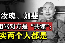 郭汝瑰和刘斐，两个人互怼对方是间谍，其实2人都是一路人视频封面