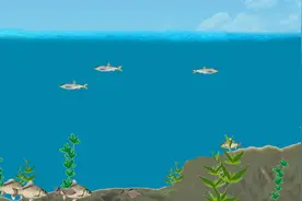 在同一个水域，为什么有的地方钓上的鲫鱼大有的地方钓上的鲫鱼小视频封面