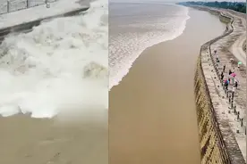 钱塘江进入观潮季 “鬼王潮”来势汹汹：冲上堤岸掀起巨浪视频封面