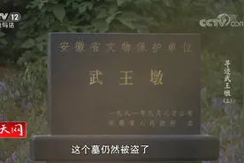 千年古墓被盗要案纪实 天网：寻迹武王墩视频封面