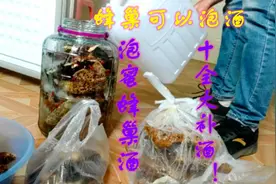 用蜜蜂巢添加药材泡酒！十全大补酒，每晚一杯，强身健体！