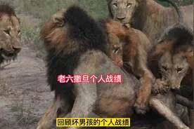 坏男孩雄狮联盟 老六撒旦的个人战绩 战神老五落幕 老六也随它去视频封面