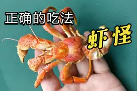 虾怪也叫寄居蟹，正确的吃法应该是这样的视频封面