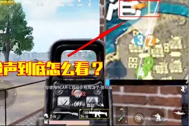 刺激战场：你会看子弹标识吗？不在中间，敌人准确方向应该在这！视频封面