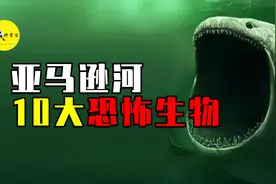 亚马逊河到底多可怕？盘点河内十大危险生物，食人鱼也只能垫底？视频封面