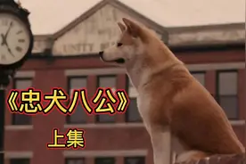 一个幸福的家 一个有爱心的男人一条可爱的小狗狗视频封面