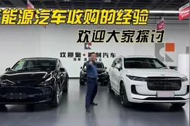 新能源智能电动汽车收购的注意事项，欢迎大家讨论指证互相学习！