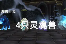 【魔兽灵魂兽】4大灵魂兽的简介及获取方式！视频封面