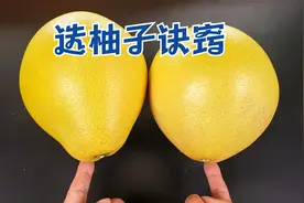 原来买柚子这么简单，4句口诀，甜柚子一挑一个准，这方法太棒了