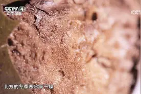 罗汉果药食同源，利咽止咳口感还好，但是这两种人要小心食用