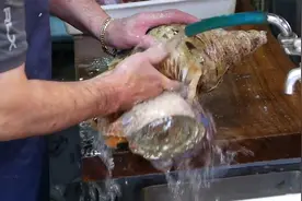 大叔教儿子“回手掏”，3秒拽出块螺肉，手法一绝，就是有点奇葩