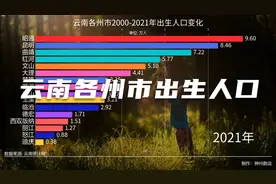 云南各州市2000-2021年出生人口变化视频封面