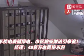 不换电表就停电，小区物业做法引争议！经理：40多万电费垫不起视频封面