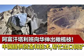 阿富汗塔利班向华伸出橄榄枝！中国提供资金和技术，帮忙出口铜矿视频封面