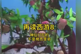再读西游8：凡人忙忙碌碌为碎银几两，神仙勤勤恳恳是为了啥？视频封面