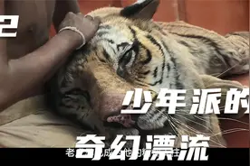 男孩独自漂流为了生存，迫不得已喂养一只老虎视频封面