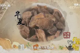 夏枯草清泻肝火，半夏燥湿化痰，二者搭配主治易醒多梦丨健康之路视频封面