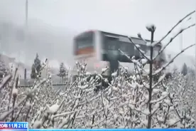下雪了下雪了！山西省多地迎来今年首场降雪！|山西新闻联播视频封面