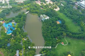 生态文明 | 广州：常态持续推进，文明城市创建蔚然成风视频封面
