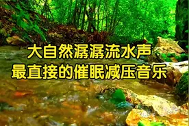 60分钟大自然水声催眠曲深度睡眠，值得收藏的枕边曲，快速入睡视频封面