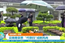 别样清明一样情！疫情防控下如何祭扫？云端“代祭扫”成新风尚！视频封面