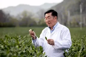 陈宗懋是我国茶叶研究领域的第一位院士视频封面